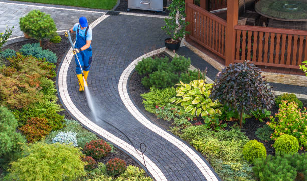 Best House Pressure Washing  in Maysville, KY