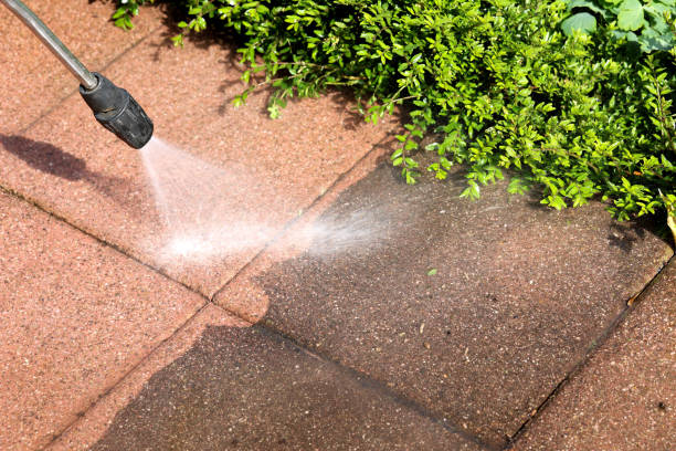 Best Local Pressure Washing Services  in Maysville, KY